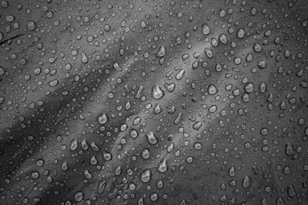 Water drops on fabric. Water drops on grey background. Condensate. Water drops background.