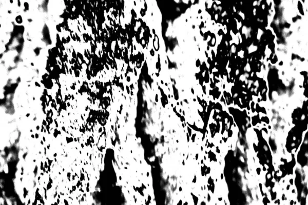 Sfondo Astratto Texture Monocromatica Immagine Compreso Effetto Toni Bianco Nero — Foto Stock