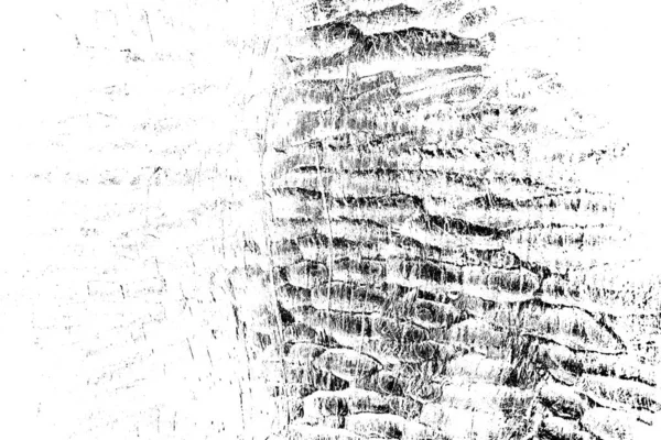 Fondo Abstracto Textura Monocromática Imagen Incluyendo Efecto Los Tonos Blanco —  Fotos de Stock