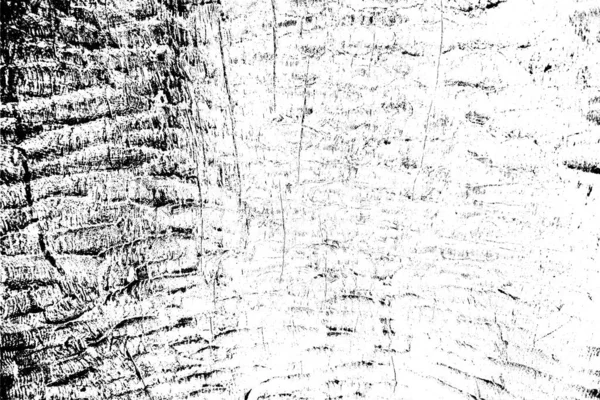 Sfondo Astratto Texture Monocromatica Immagine Compreso Effetto Toni Bianco Nero — Foto Stock