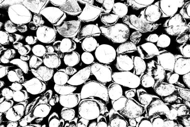 Ağaç kütükleri yığını. Ahşap günlük kaydı dokusu arkaplanı