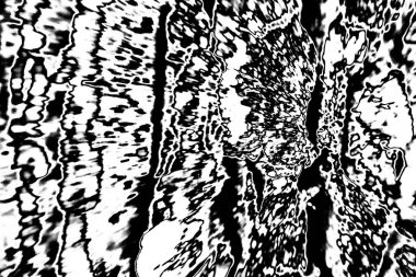 Soyut arkaplan. monokrom dokusu. resim siyah ve beyaz tonları içerir.