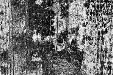 Soyut arkaplan. monokrom dokusu. resim siyah ve beyaz tonları içerir.