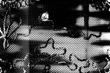 Soyut arkaplan. monokrom dokusu. resim siyah ve beyaz tonları içerir.