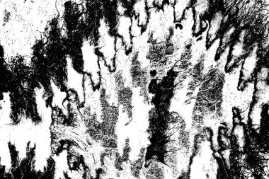 Soyut arkaplan. monokrom dokusu. resim siyah ve beyaz tonları içerir.