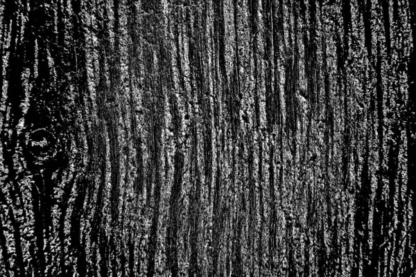 Fond Abstrait Texture Monochrome Image Incluant Effet Les Tons Noir — Photo