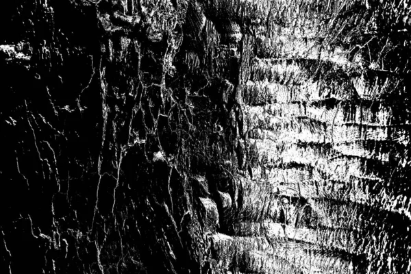 Sfondo Astratto Texture Monocromatica Immagine Compreso Effetto Toni Bianco Nero — Foto Stock