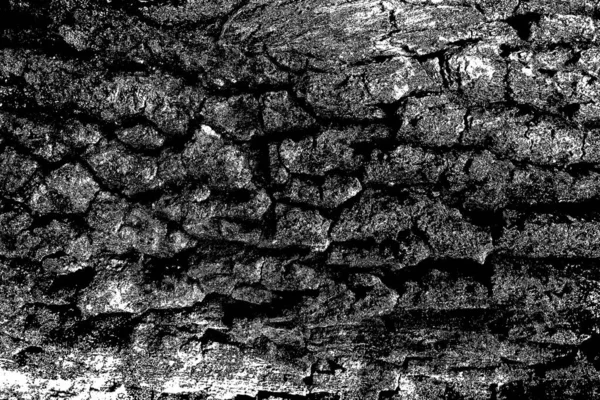 Sfondo Astratto Texture Monocromatica Immagine Compreso Effetto Toni Bianco Nero — Foto Stock