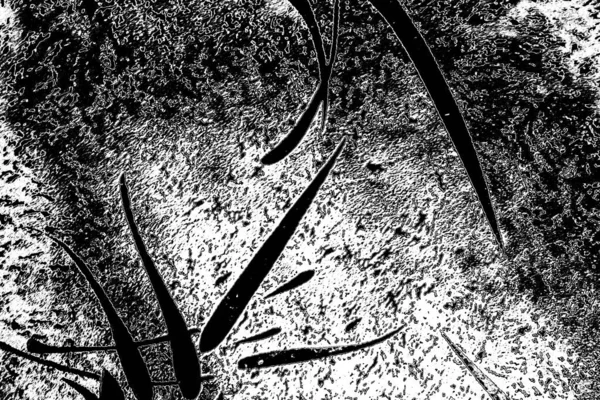 Sfondo Astratto Texture Monocromatica Immagine Compreso Effetto Toni Bianco Nero — Foto Stock