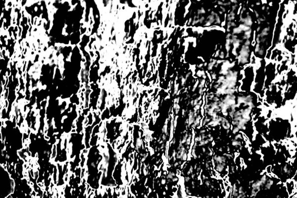 Fond Abstrait Texture Monochrome Image Incluant Effet Les Tons Noir — Photo