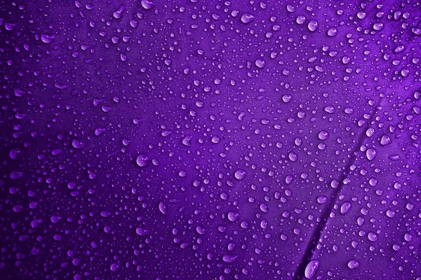 Water drops on fabric. Water drops on purple background. Condensate. Water drops background.