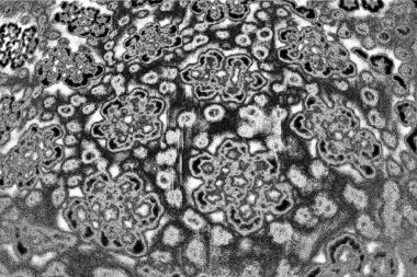 Soyut arkaplan. monokrom dokusu. resim siyah ve beyaz tonları içerir.