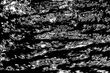 Soyut arkaplan. Monokrom dokusu. Siyah ve beyaz desenli arkaplan. 