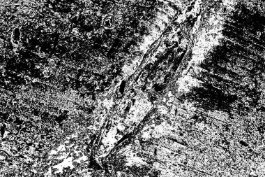 Soyut arkaplan. Monokrom dokusu. Siyah ve beyaz desenli arkaplan. 