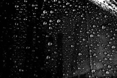 Soyut arkaplan. Monokrom dokusu. Siyah ve beyaz desenli arkaplan. 