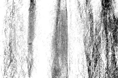 Soyut arkaplan. Monokrom dokusu. Siyah ve beyaz desenli arkaplan. 