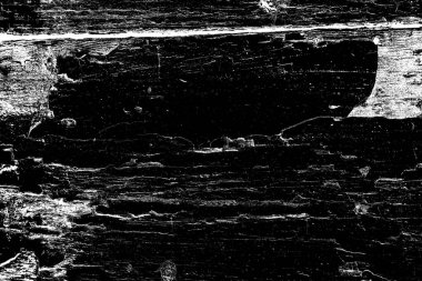 Soyut arkaplan. Monokrom dokusu. Siyah ve beyaz desenli arkaplan. 