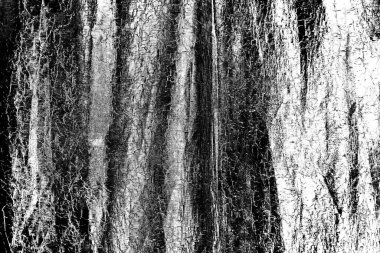 Soyut arkaplan. Monokrom dokusu. Siyah ve beyaz desenli arkaplan. 