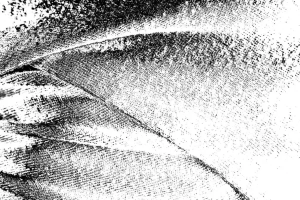 Абстрактний Фон Монохромна Текстура Декоративний Чорно Білий Візерунок — стокове фото