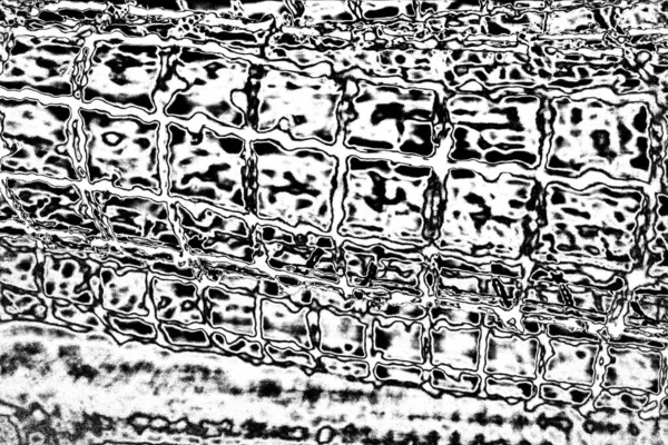 Contexte Abstrait Texture Monochrome Fond Texturé Noir Blanc — Photo