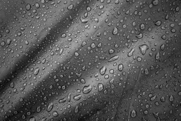 Waterproof Fabric Waterdrops Waterproof Clothing Textile Water — Stock Photo, Image