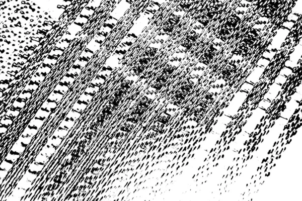 Fondo Texturizado Abstracto Blanco Negro — Foto de Stock