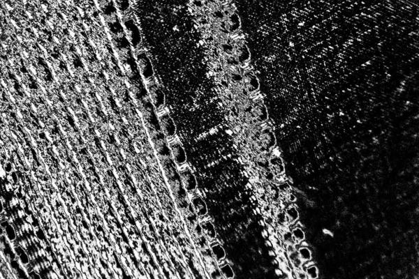 Latar Belakang Abstrak Tekstur Monokrom Latar Belakang Tekstur Hitam Dan — Stok Foto