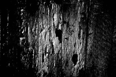 Soyut arkaplan. Monokrom dokusu. Siyah ve beyaz desenli arkaplan. 