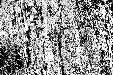 Soyut arkaplan. Monokrom dokusu. Siyah ve beyaz desenli arkaplan. 