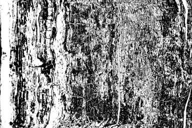 Soyut arkaplan. Monokrom dokusu. Siyah ve beyaz desenli arkaplan. 