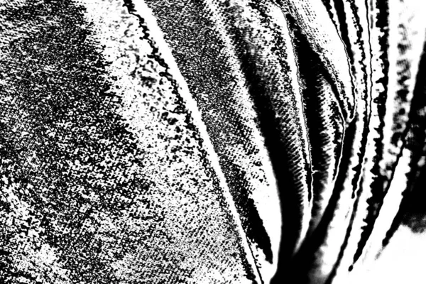 Contexte Abstrait Texture Monochrome Fond Texturé Noir Blanc — Photo