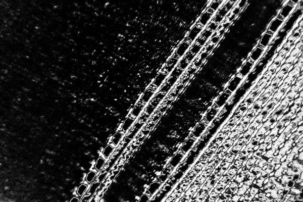 Fondo Abstracto Textura Monocromática Fondo Texturizado Blanco Negro —  Fotos de Stock