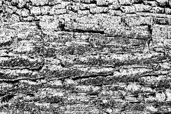 Abstract Background Monochrome Texture Black White Textured Background — Stock Photo, Image