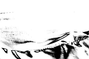 Soyut arkaplan. Monokrom dokusu. Dekoratif siyah beyaz desen. 