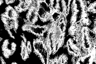 Soyut arkaplan. Monokrom dokusu. Dekoratif siyah beyaz desen. 