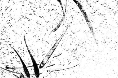 Soyut arkaplan. monokrom dokusu. resim siyah ve beyaz tonları içerir.