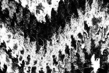 Soyut arkaplan. Monokrom dokusu. Siyah ve beyaz desenli arkaplan. 