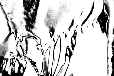 Soyut arkaplan. Monokrom dokusu. Dekoratif siyah beyaz desen. 