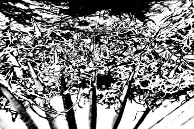 Soyut arkaplan. Monokrom dokusu. Siyah ve beyaz desenli arkaplan. 