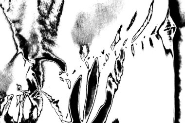 soyut siyah ve beyaz desenli arkaplan