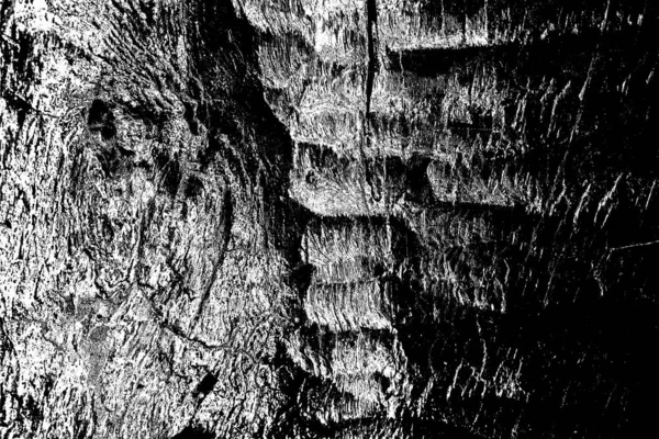 Abstraktní Pozadí Monochromní Textura Černobílé Texturované Pozadí — Stock fotografie