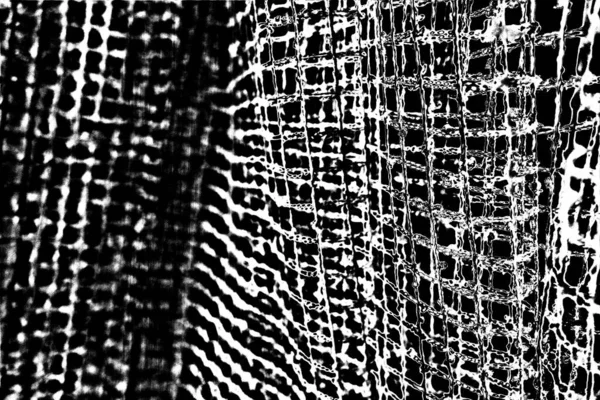 Fondo Texturizado Abstracto Blanco Negro — Foto de Stock