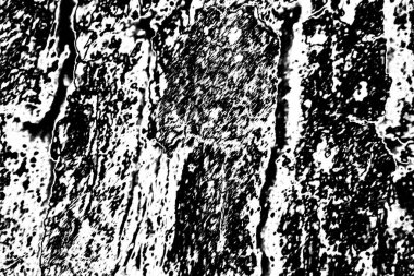 Soyut arkaplan. Monokrom dokusu. Siyah ve beyaz desenli arkaplan. 