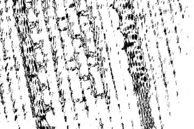 Soyut arkaplan. Monokrom dokusu. Siyah ve beyaz desenli arkaplan. 