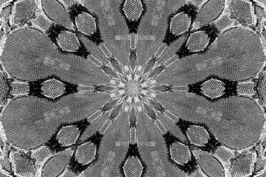 Soyut arkaplan. Monokrom dokusu. Dekoratif siyah beyaz desen. 