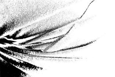 soyut siyah ve beyaz desenli arkaplan