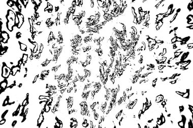 Soyut arkaplan. Monokrom dokusu. Siyah ve beyaz desenli arkaplan. 