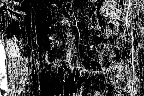 Contexte Abstrait Texture Monochrome Fond Texturé Noir Blanc — Photo