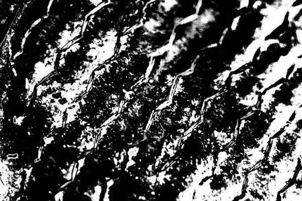 Fundo Abstrato Textura Monocromática Preto Branco Texturizado Fundo — Fotografia de Stock