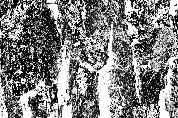 Sfondo Astratto Struttura Monocromatica Bianco Nero Sfondo Strutturato — Foto Stock